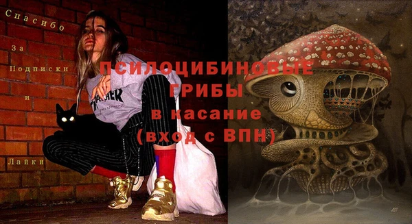 первитин Беломорск
