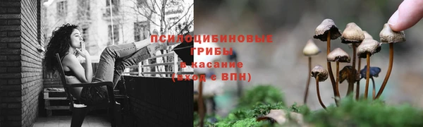 марки lsd Богородицк