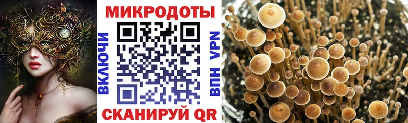 MEGA ССЫЛКА  Олёкминск  Галлюциногенные грибы прущие грибы 